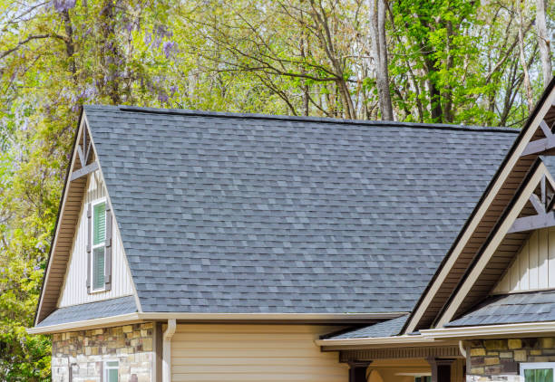 Roof Coating Services in Warm Mineral Springs, FL