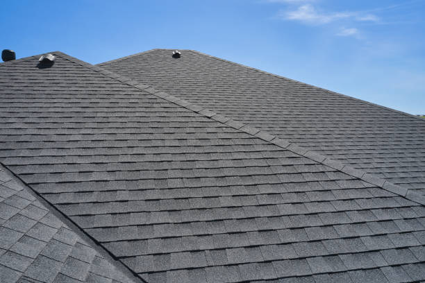 Best Skylight Installation and Repair  in Warm Mineral Springs, FL